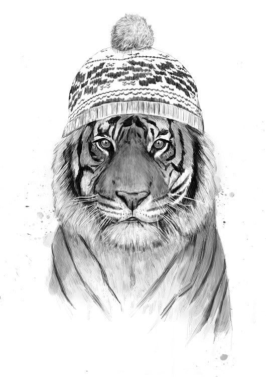 tiger bw poster
