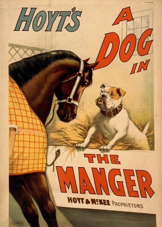 vintage poster animals