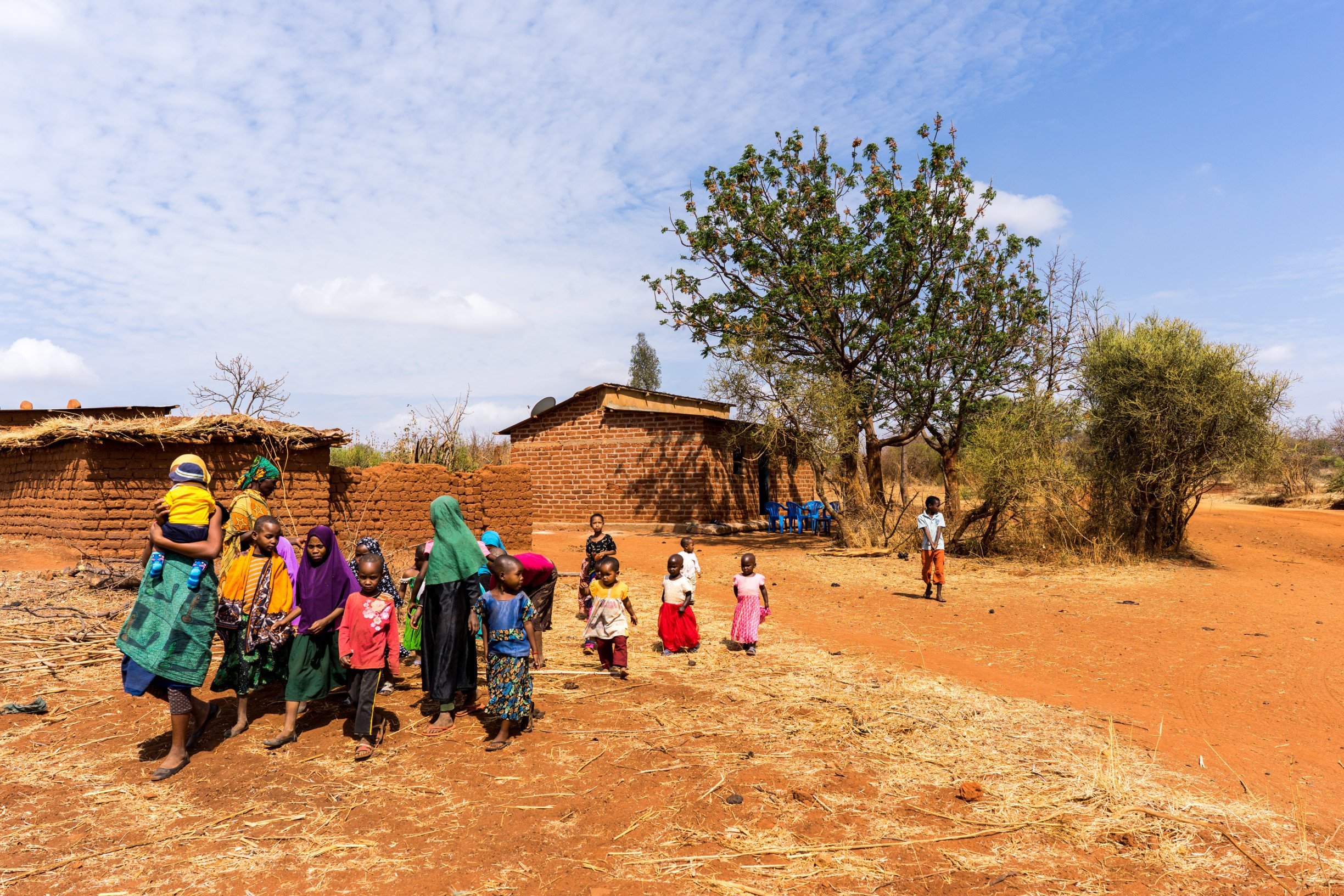 two-million-trees-planted-displate-tanzania-trees-for-the-future