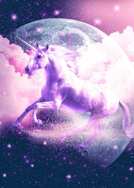 space unicorn