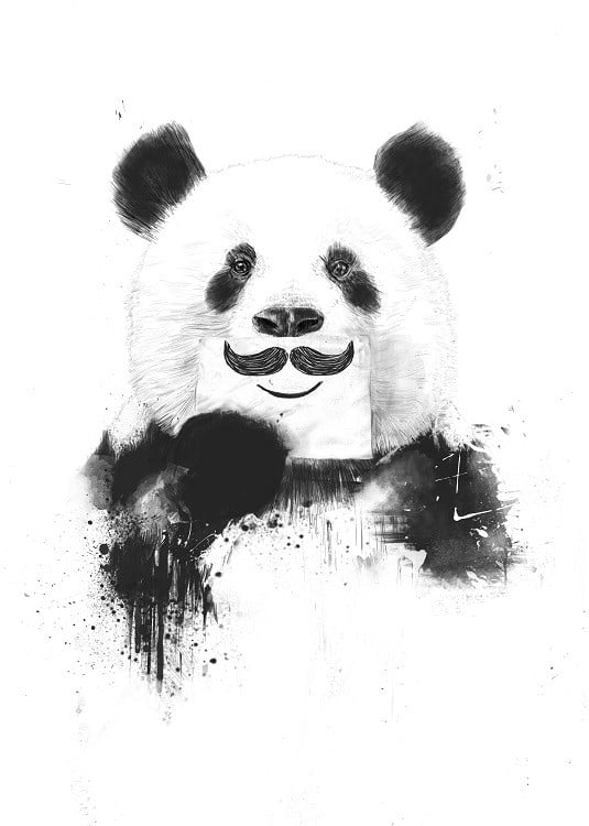 panda bear poster