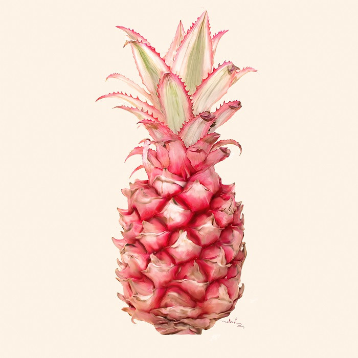 pink pineapple illustration