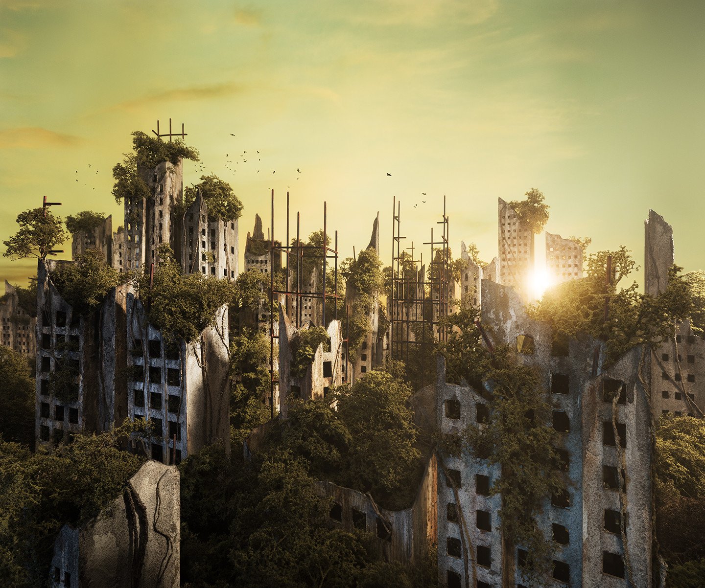 dawn in the abandoned city