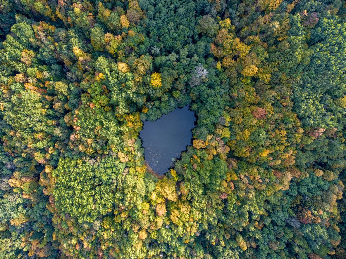 aerial-autumn-view-forest-lake-in-russia