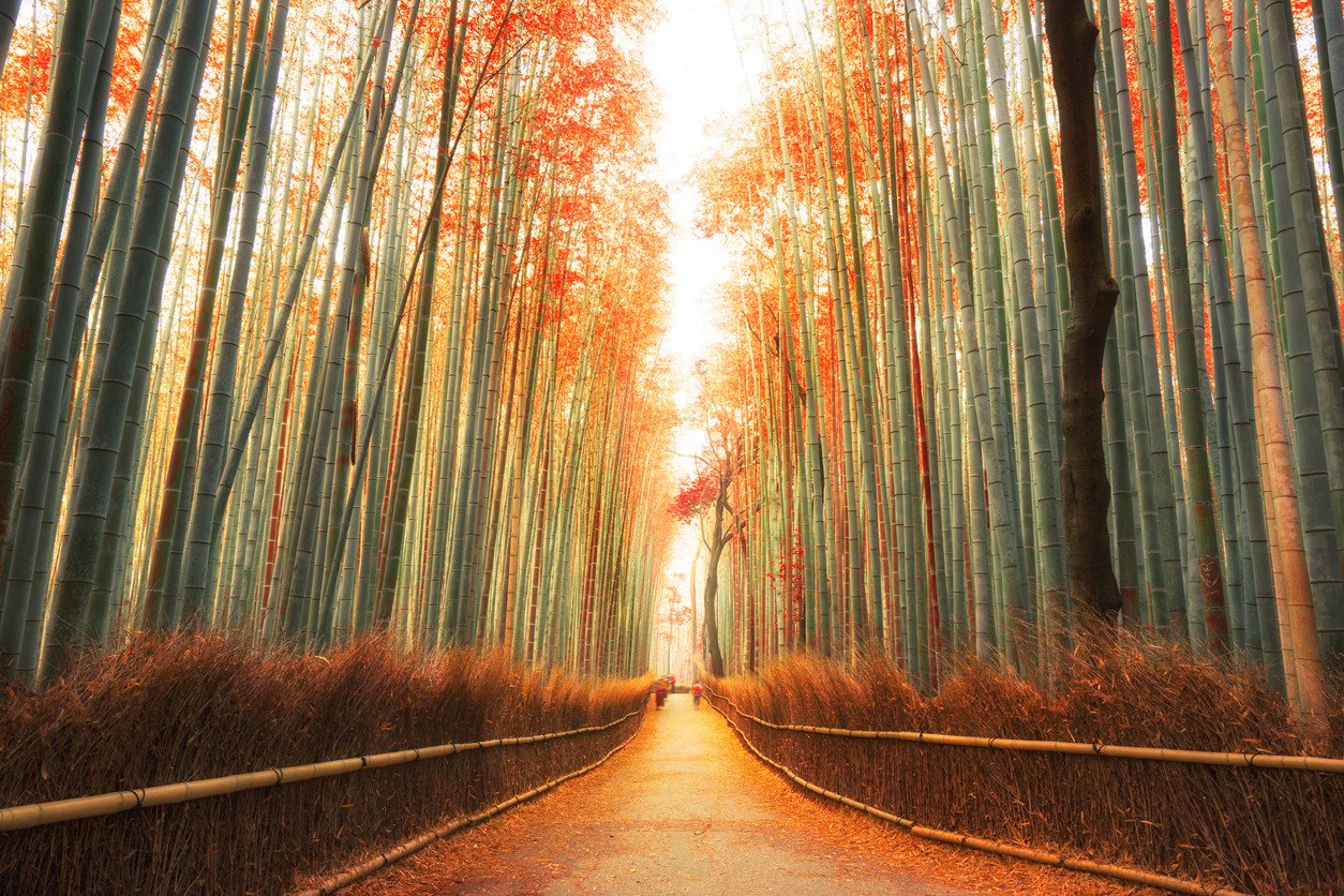 50 Beautiful Fall Pictures from Around the World