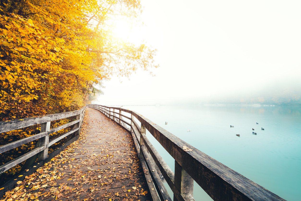 autumn-lake-view-yellow