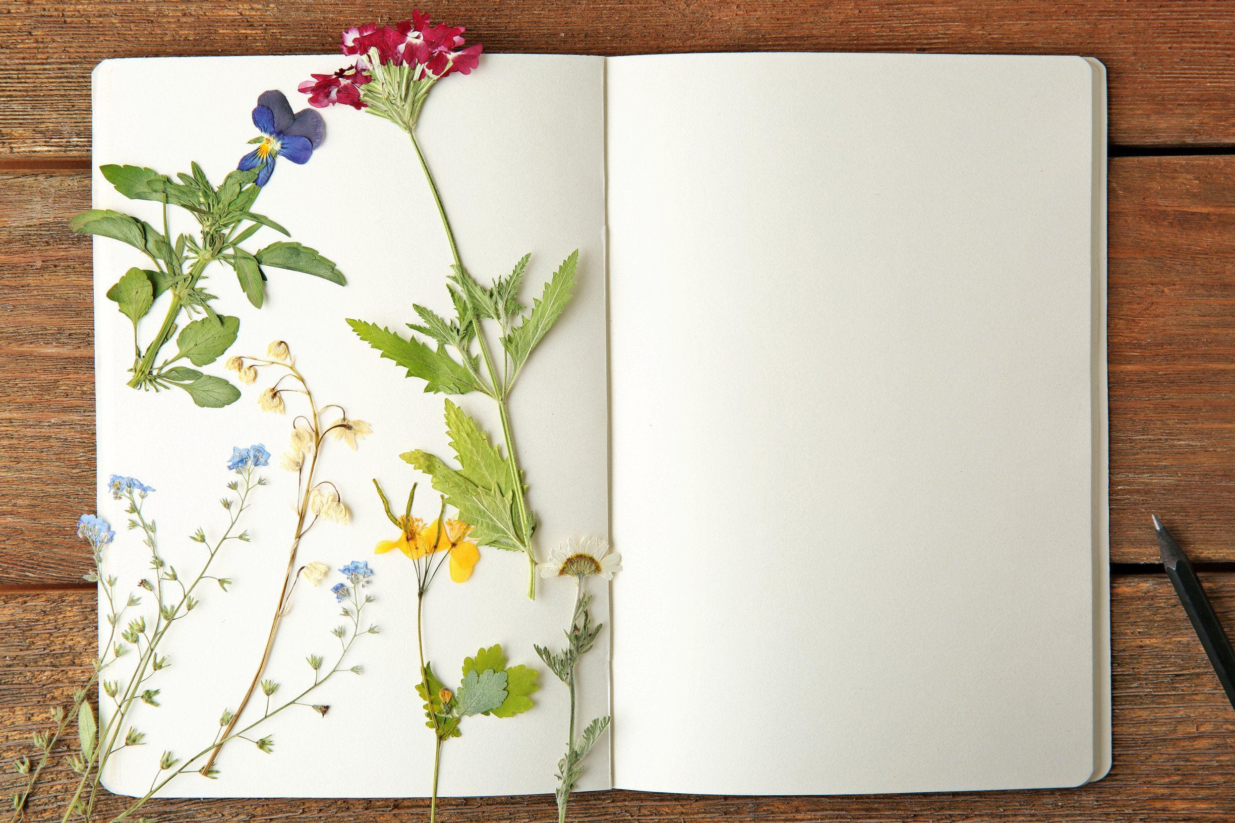 plants flowers journal diary
