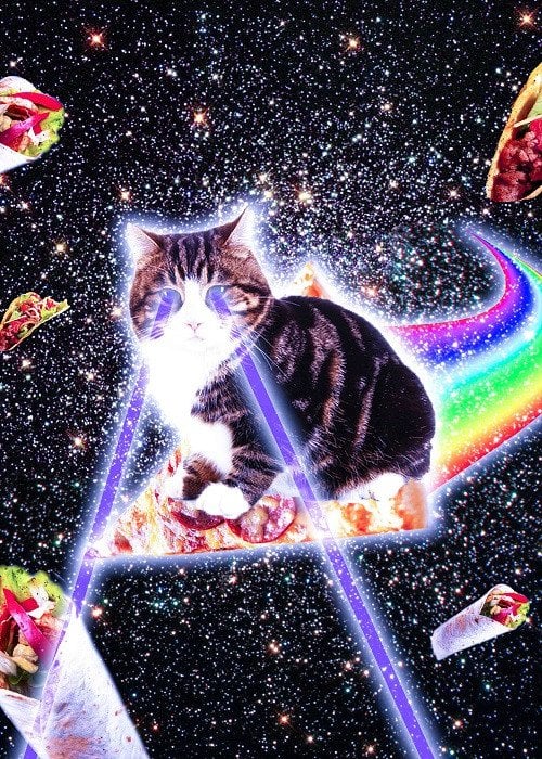 galaxy cat