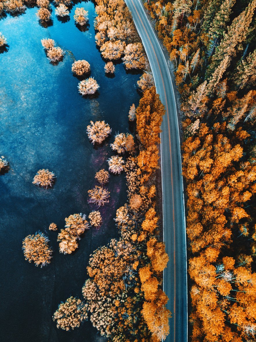 helicopter-view-of-the-pine-forest-along-a-lake-autumn-photo