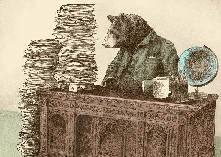 bear office