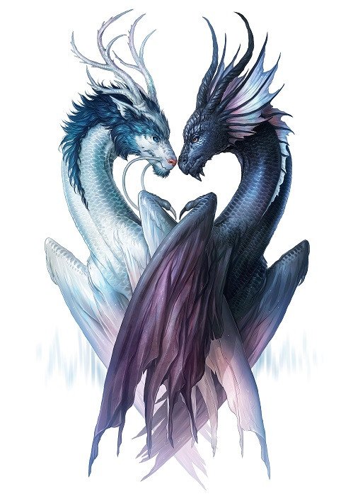 yin yang dragons