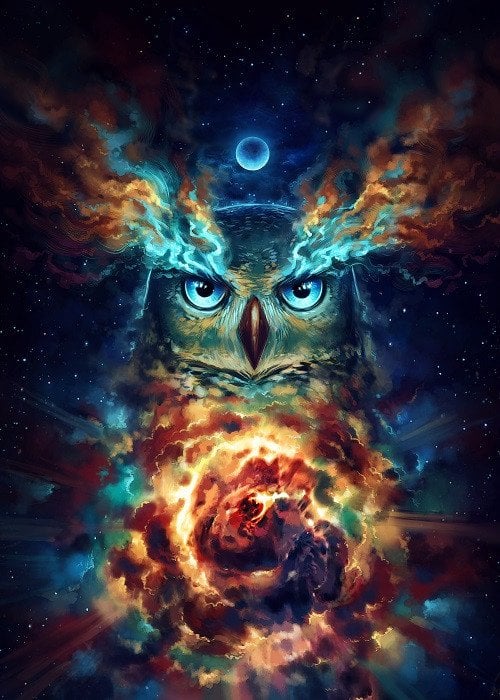 space owl 
