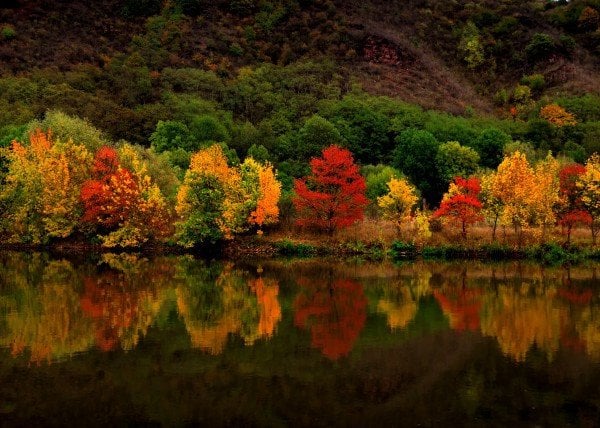 landscape-autumn-mirror-landscape-waterscape-tree-trees-forest-lake-mountain-red-yellow-green-orange