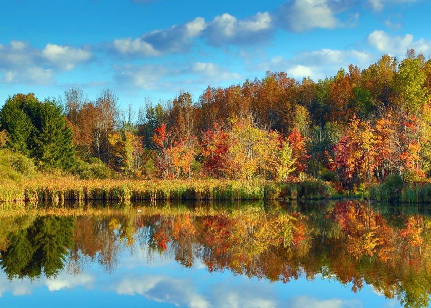 landscape-fall-autumn-trees-leaves-foliage-blue-yellow-red-orange-new-york-reflection-pond-nature-landscape