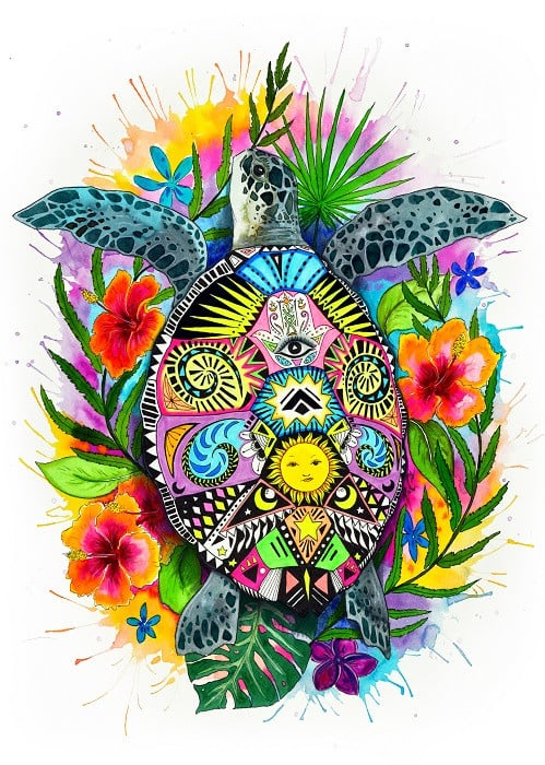 colorful turtle illustration