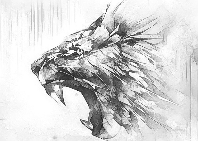 lion sketch