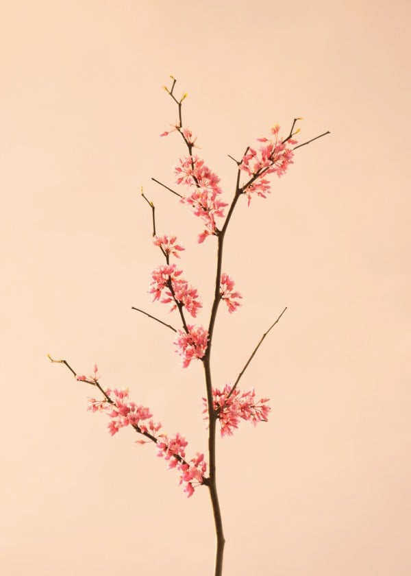 spring-design-floral-art