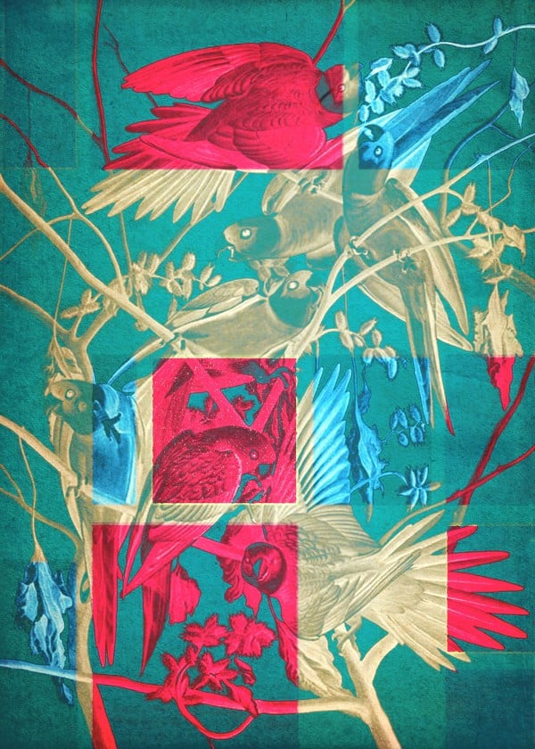 spring-pattern-art-floral-design-bird