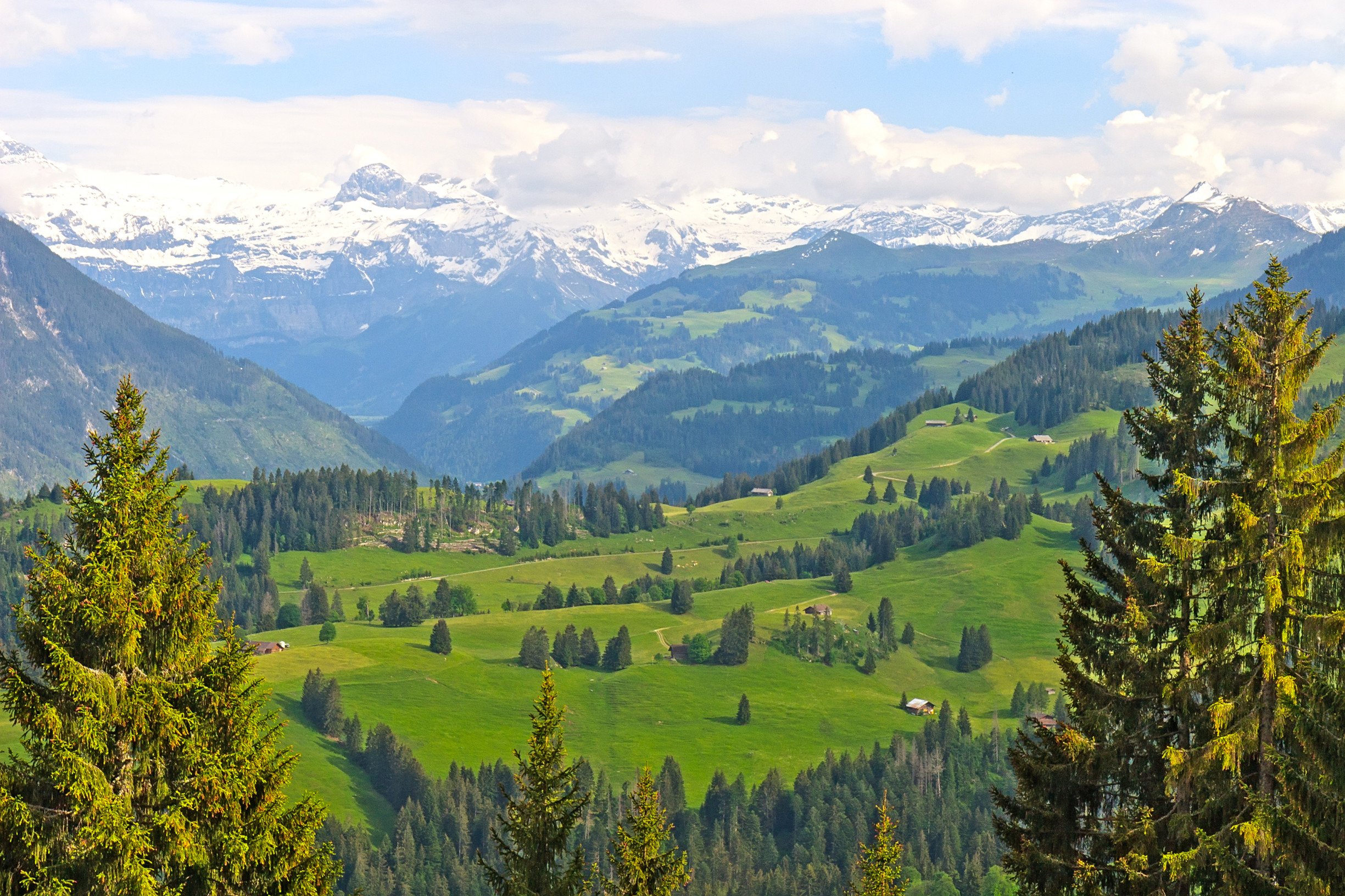 Swiss Alps The Magic Mountain by Thomas Mann