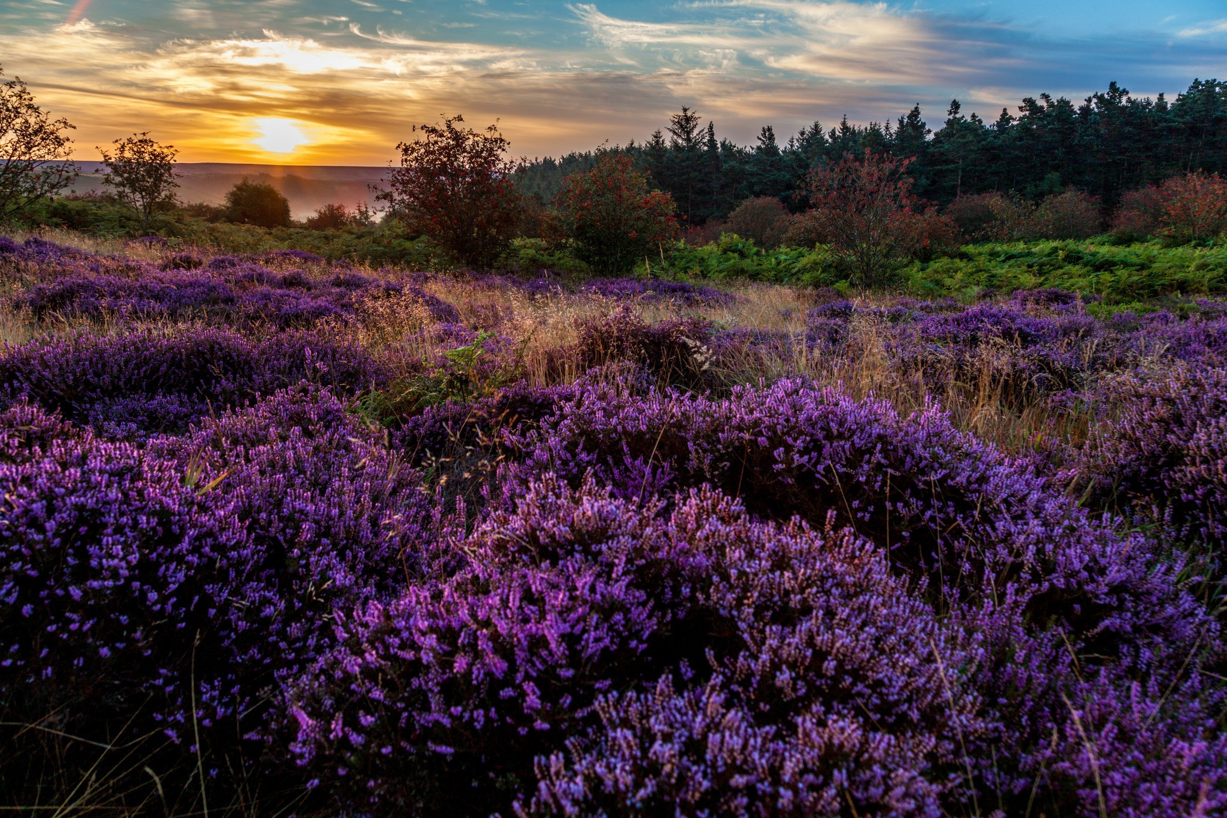 The Yorkshire Moors England Wuthering Heights Emily Bronte