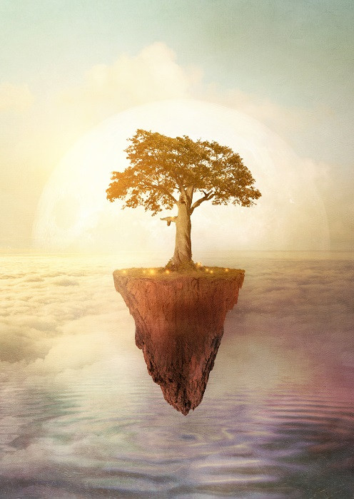 floating tree illustration
