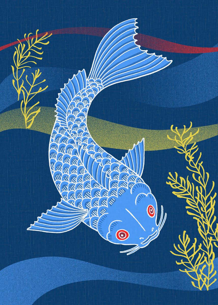 Blue koi fish