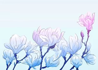 Frozen Magnolia Poster by Noel delMar