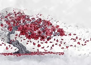 Cherry Blossom Poster by Marine Loup