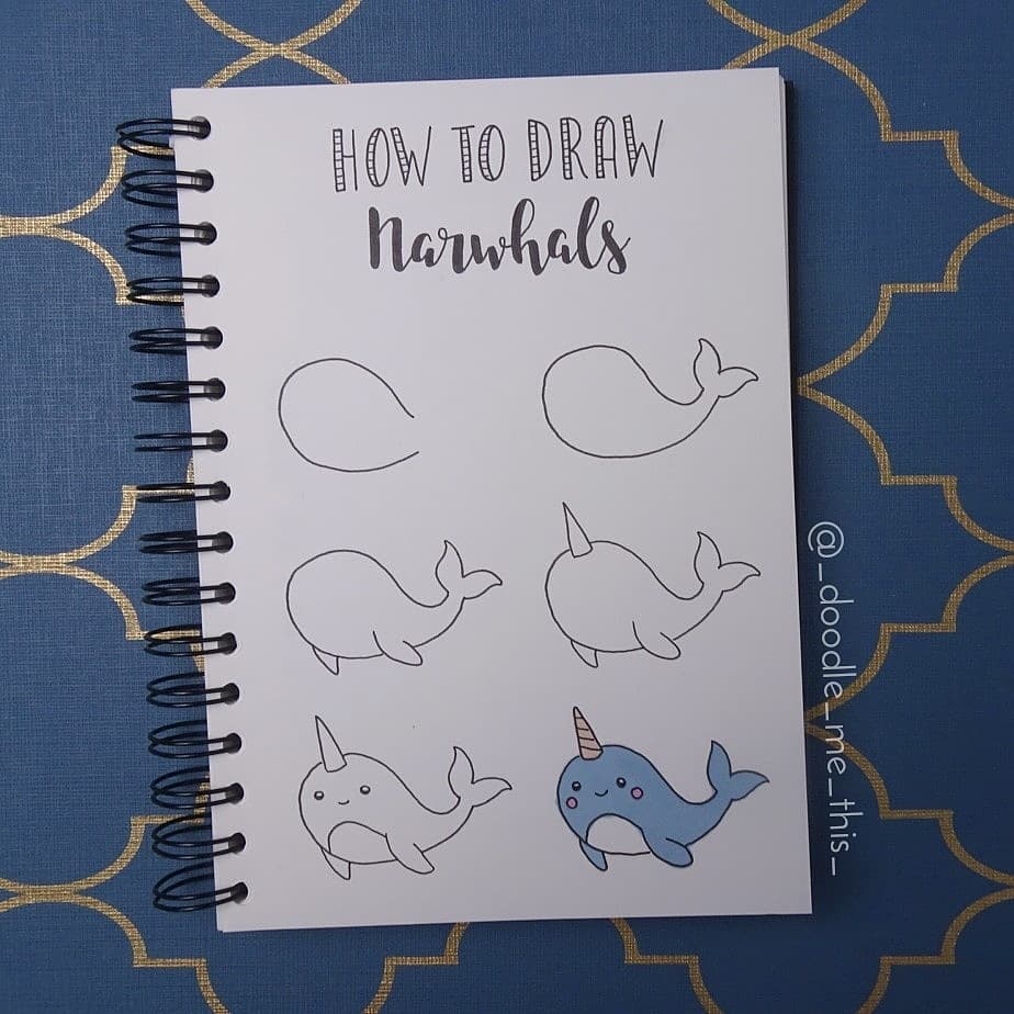 how to draw a cute narwhal