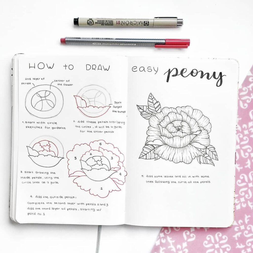 step-by-step peony doodles