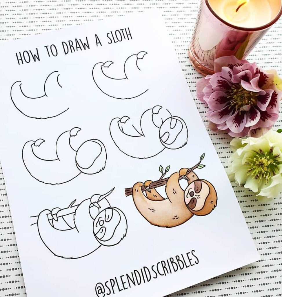 how to draw a cute sloth
