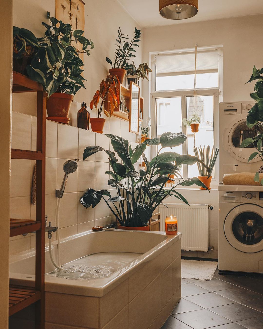Plant Room Ideas: How To Turn Your Home Into a Leafy Paradise ...