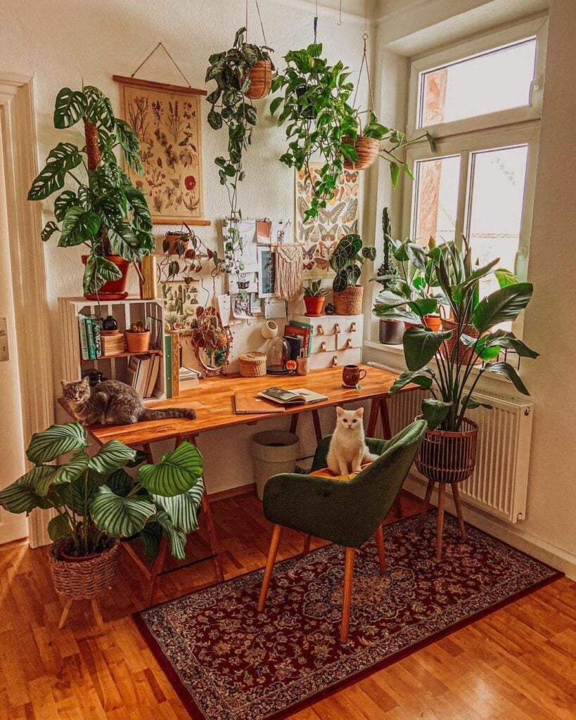 desk surrounded by plants
