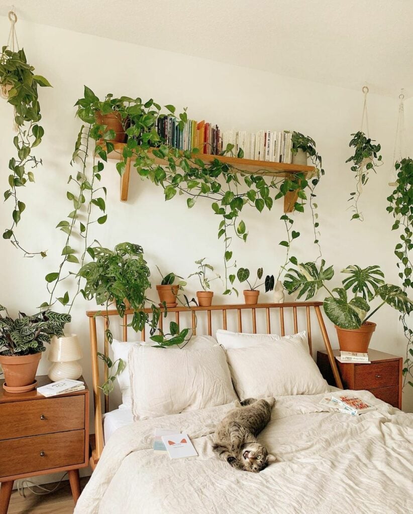 bed surrounded by plants