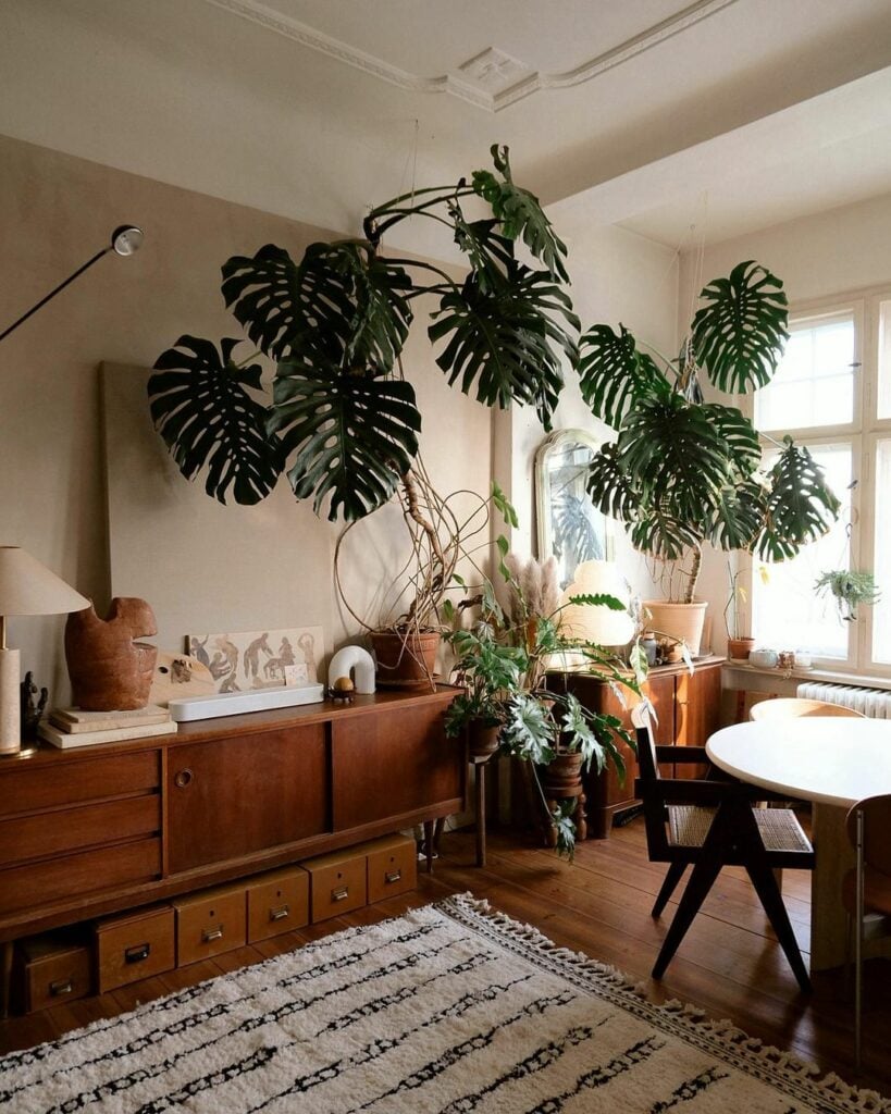living room featuring an oversized monstera