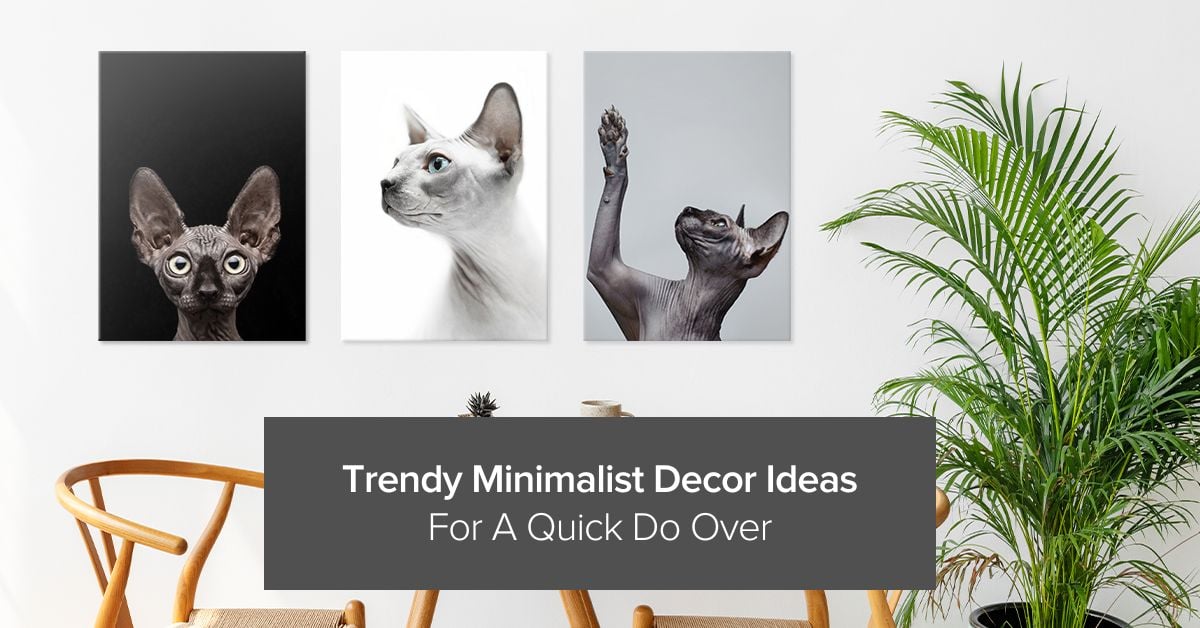 11 Trendy Minimalist Decor Ideas for A Quick Do Over