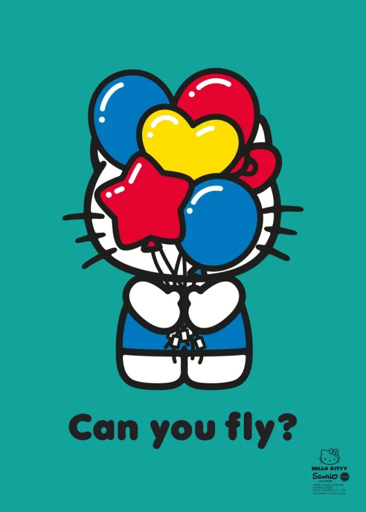 Can You Fly Poster