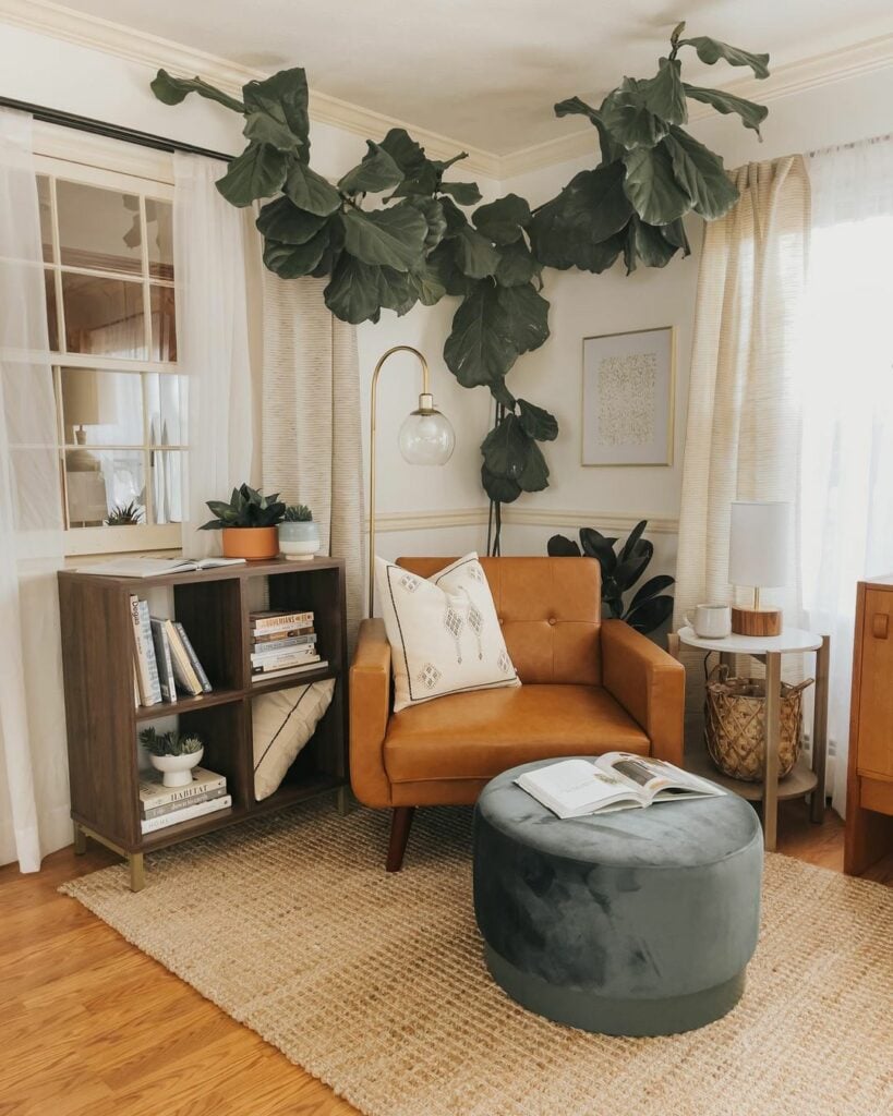 reading nook with a statement plant