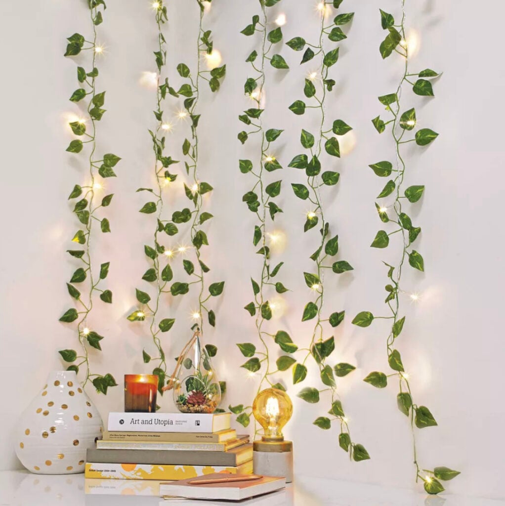 Decorative Vines Set