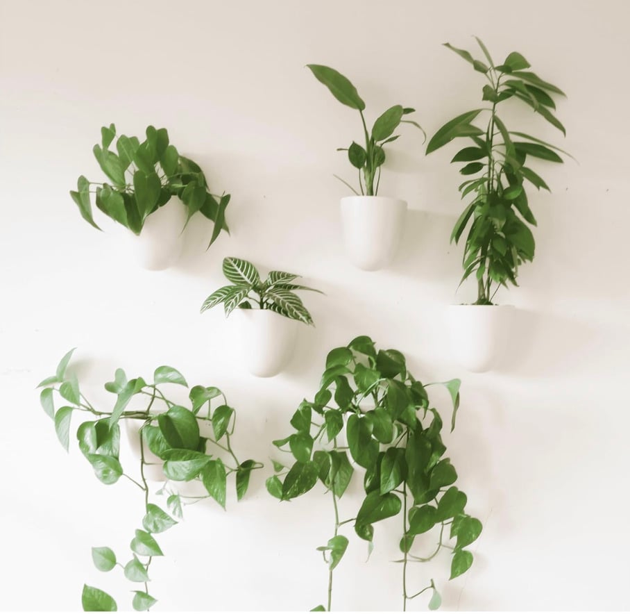 Wall Hanging Planter Set