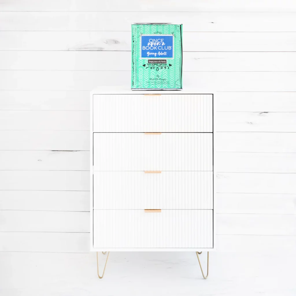 Young adult subscription box